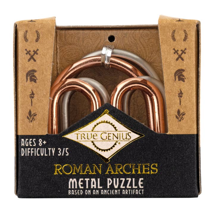 Project Genius - Wholesale Puzzle - Adult - True Genius Roman Arches Puzzle4