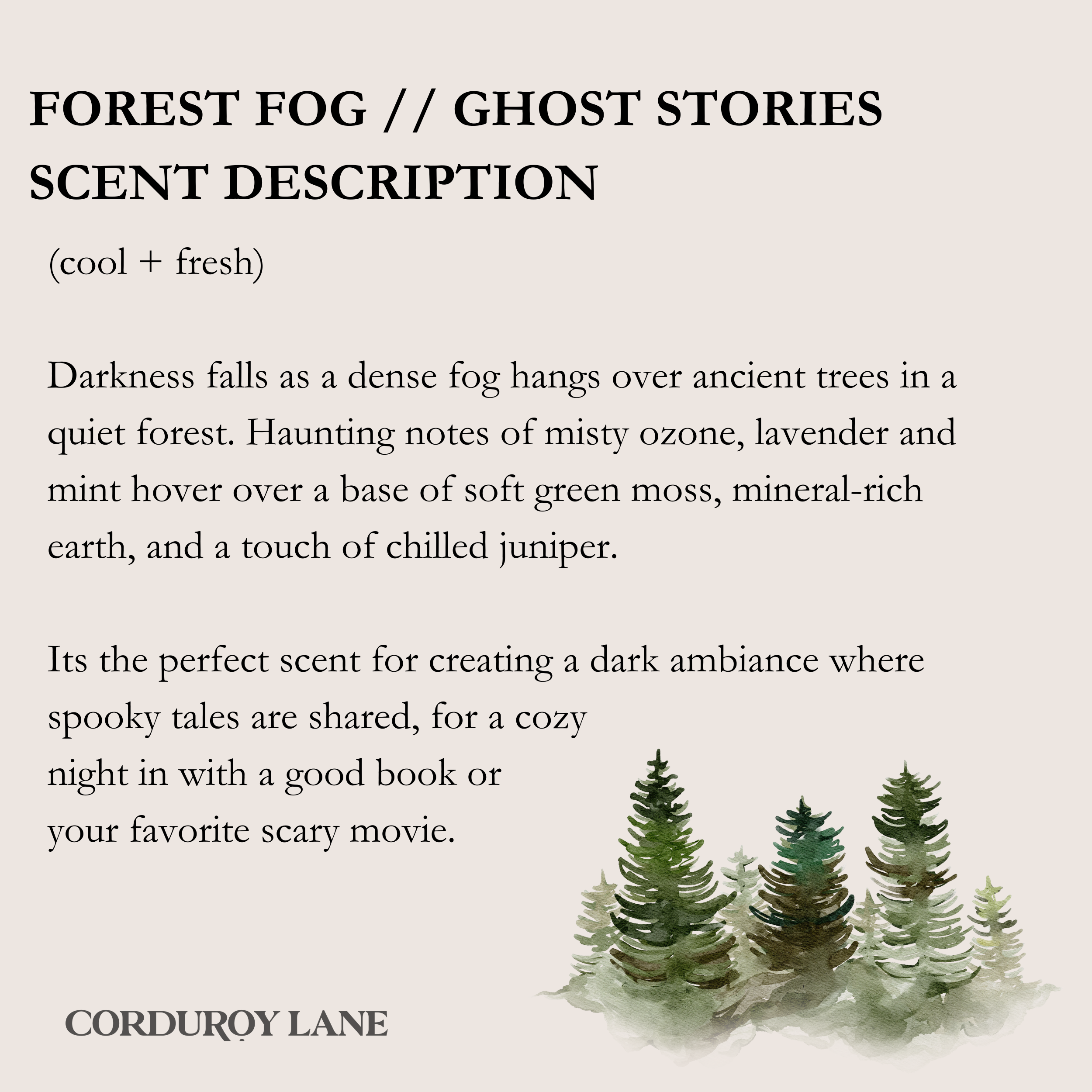 Corduroy Lane - Wholesale Jar/Filled Candle - Ghost Stories Apothecary Candle2