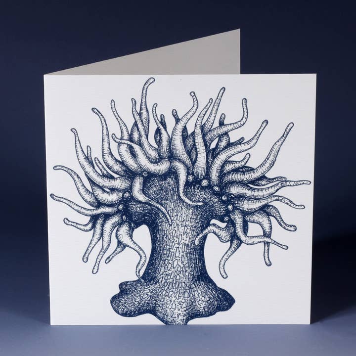 Sea Anemone Greetings Card for wholesale by Cream Cornwall