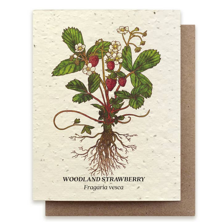 Small Victories - Wholesale Everyday Greeting Card - Strawberry Plantable Wildflower Seed Card