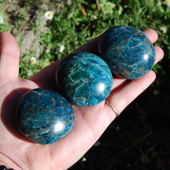 Gemmy Apatite Crystal Palm Stones, Madagascar for wholesale by Caspar Curiosities