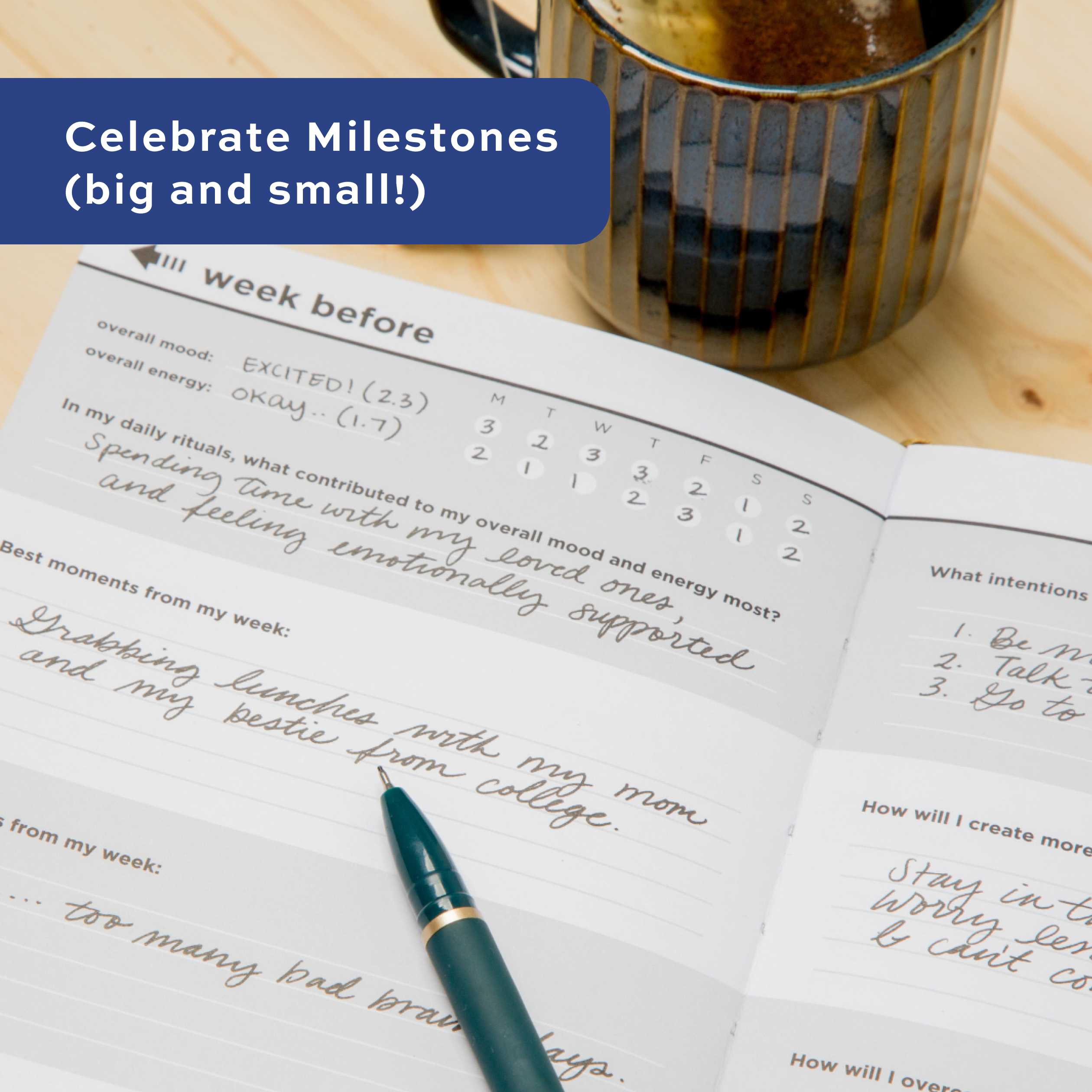 Day By Daybook® - Wholesale Journal/Diary - Recovery Daybook1