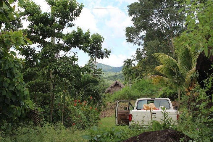 Dick Taylor Craft Chocolate – Großhandel Schokoriegel – 72% Belize, Toledo Zartbitterschokolade5