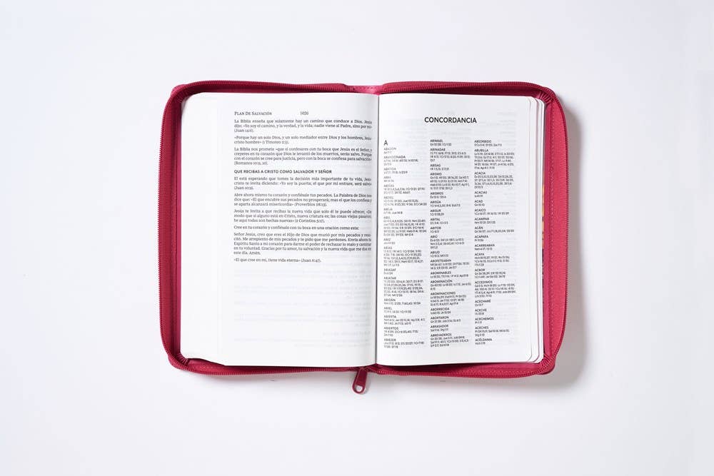 HarperCollins Christian Publishing - Wholesale Religion - RVR60, Santa Biblia, Tierra Santa, Ultrafina, Letra grande12