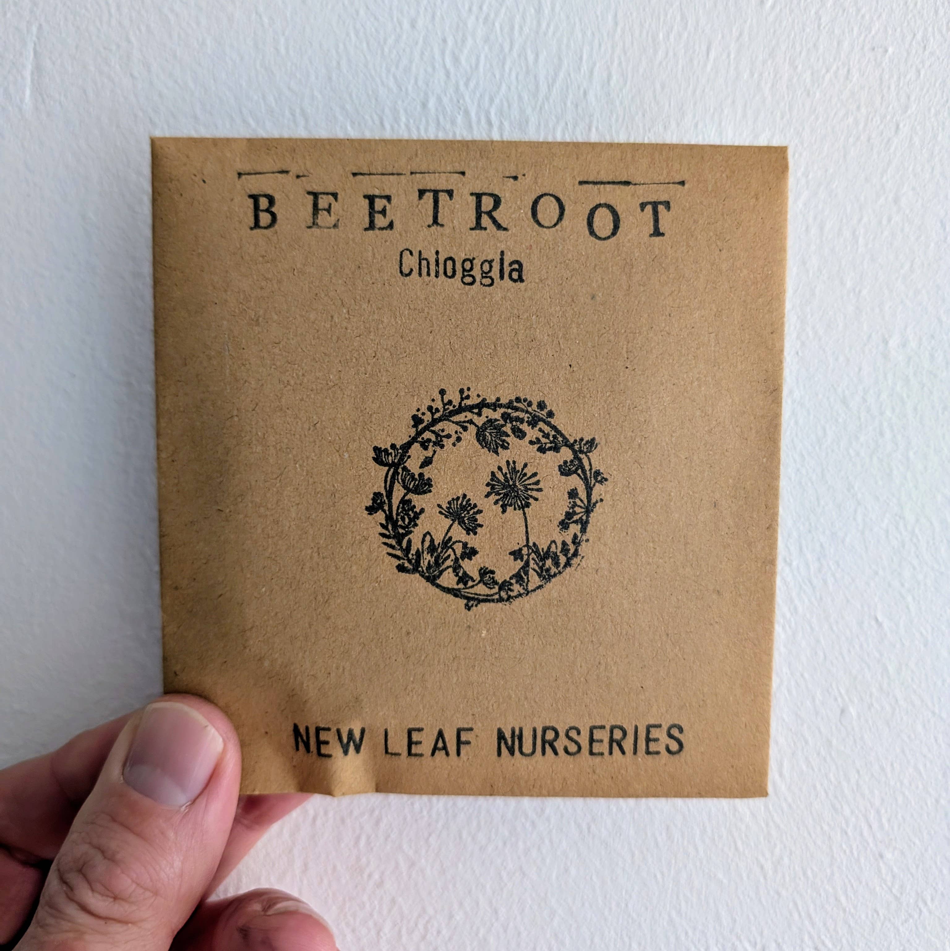 New Leaf Nurseries – wholesale Plant seeds – Beetroot 'Chioggia' Seeds