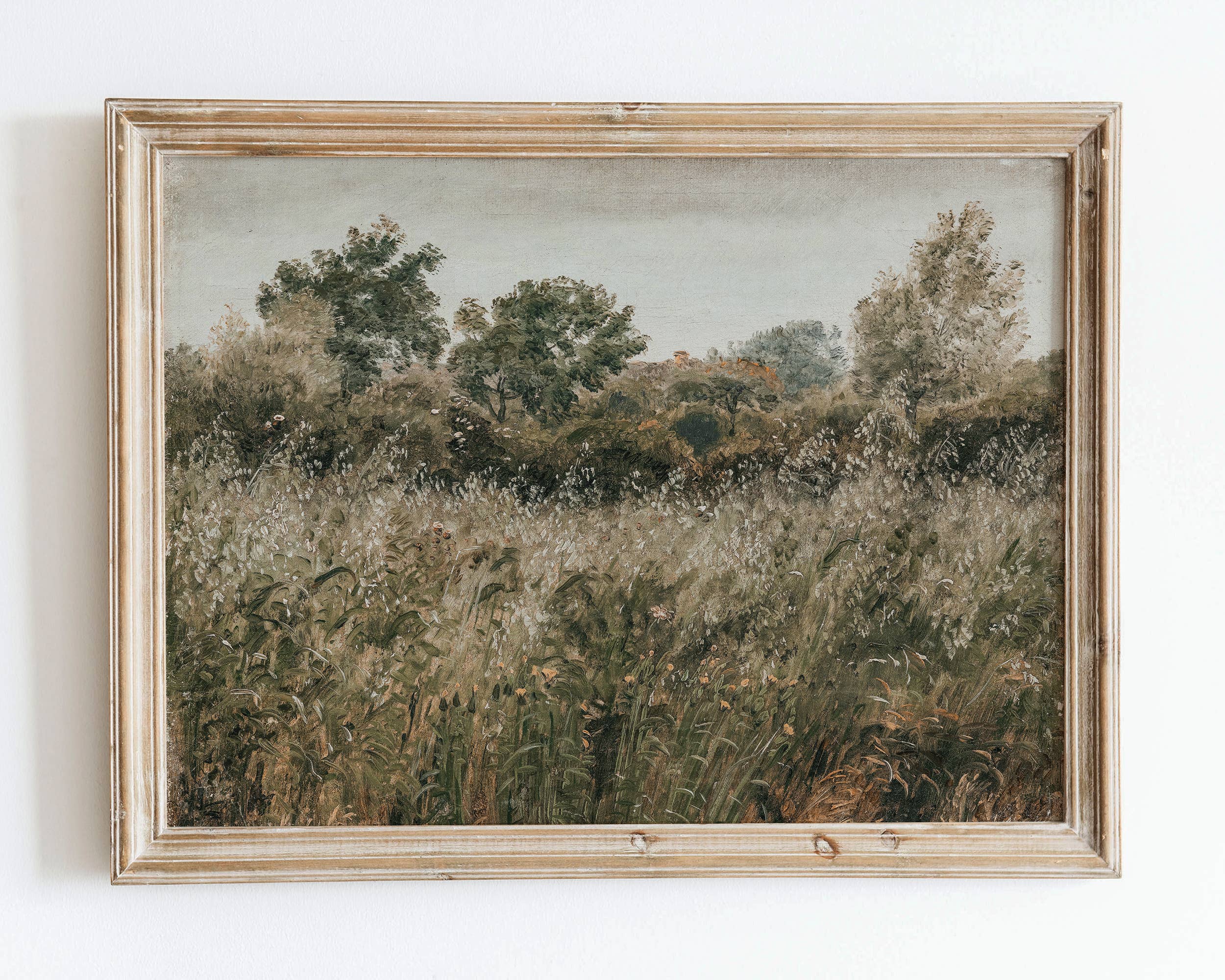 Sugar & Canvas - Wholesale Art Print - Rustic Vintage European Flower Grass Field Art Print VP610