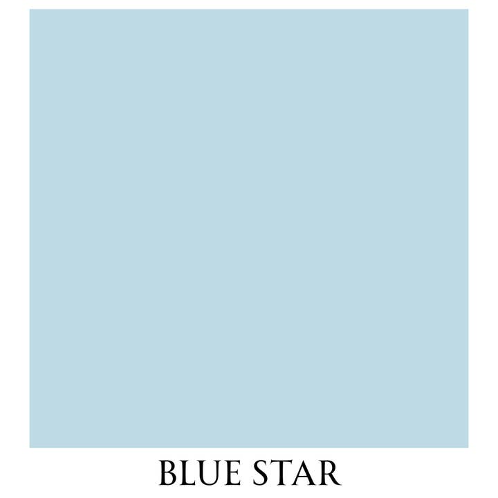 Blue Star Vintage Chalk Furniture Paint Size: 1 Quart for wholesale by Autentico USA