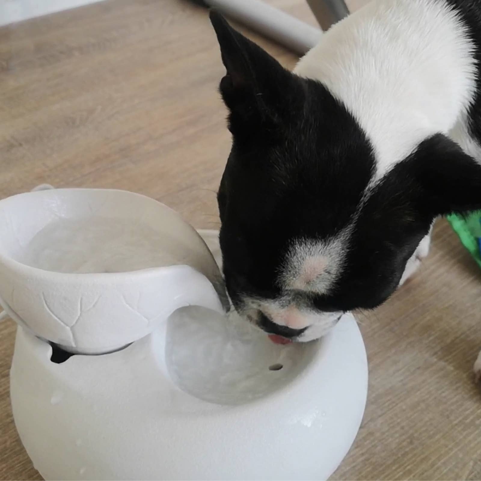 Zen'Arôme - Wholesale Pet Bowl - Cat/Dog - Toby Animal Fountain - Non-Toxic Glazed Ceramic10