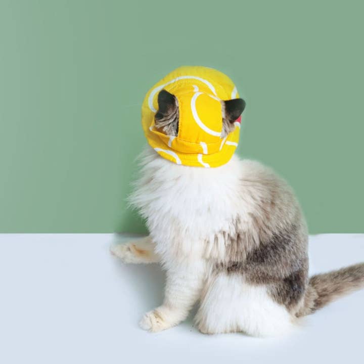 Cheerhunting - Wholesale Pet hat – Dog - Ozzie - Floral Pet Sun Hat6