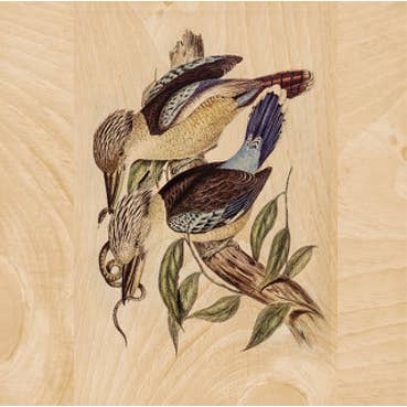 ikonink - Wholesale Poster - Kookaburra Poster