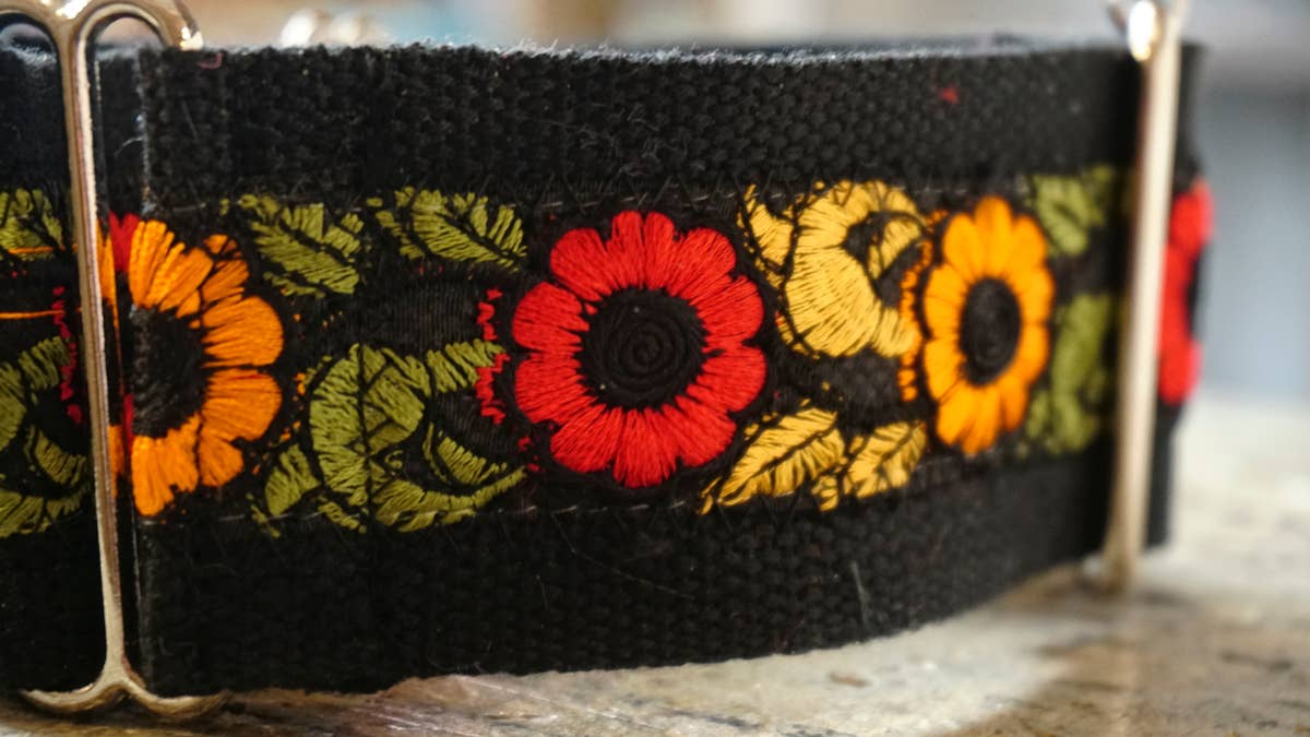 hundsfutter - Wholesale Pet Collar - Dog - Wide collar anti escape design13