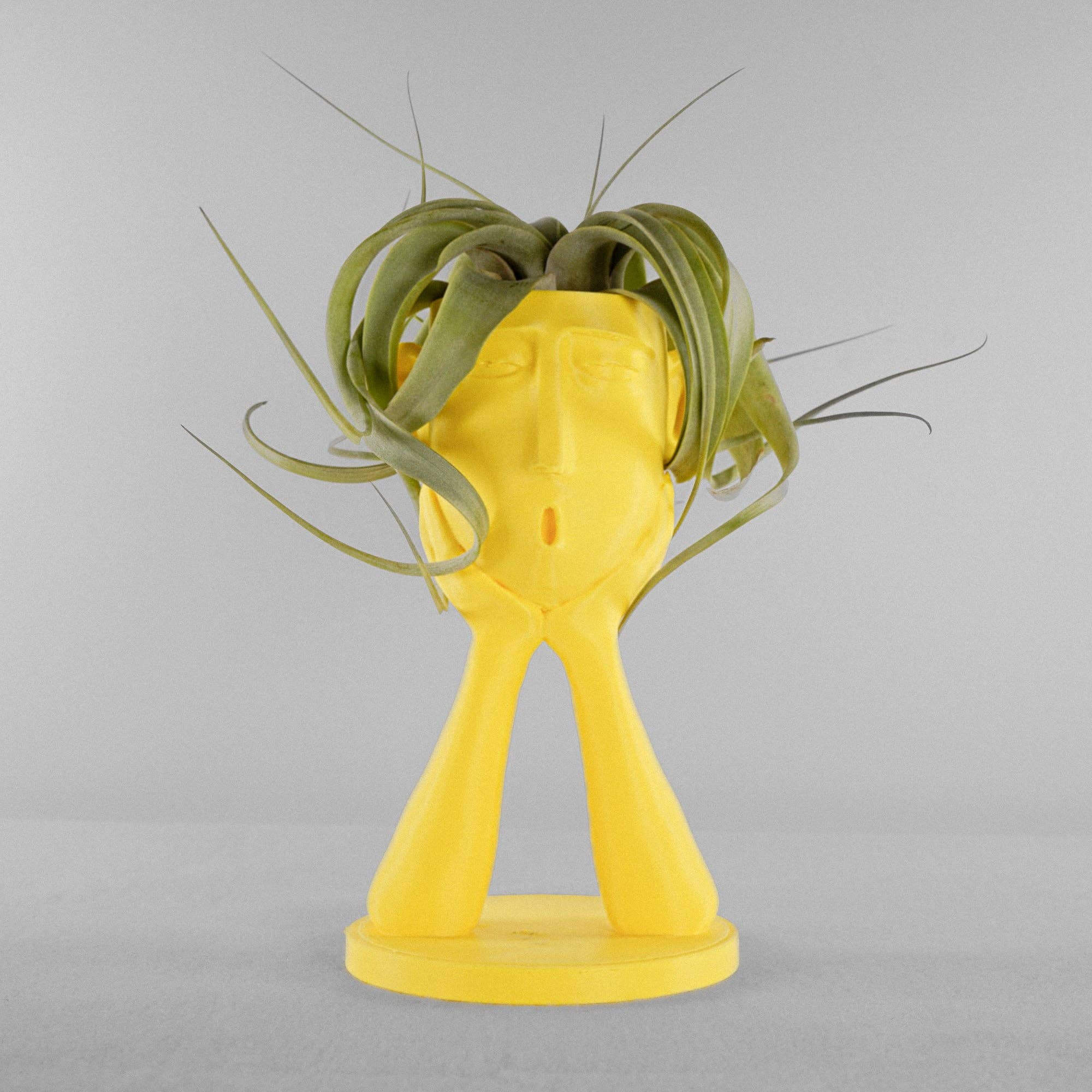 Rosebud Homegoods - Vente Pot - Support pour plantes gonflables Stonehenge, joli pot à tête, cadeau de décoration unique7