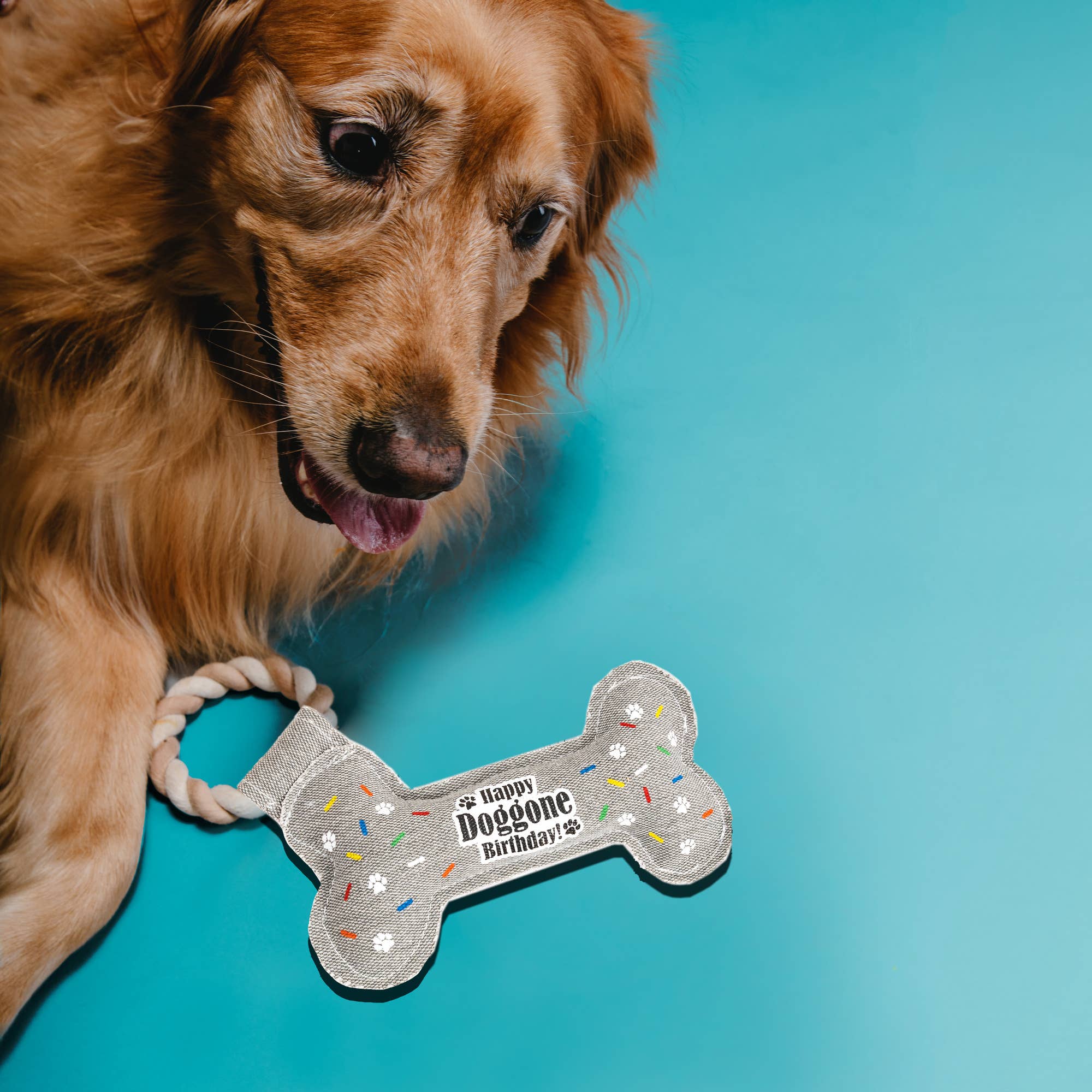 Pavilion - Wholesale Pet Rope Toy - Dog - Birthday Bone - 11" Canvas Dog Toy on Rope1