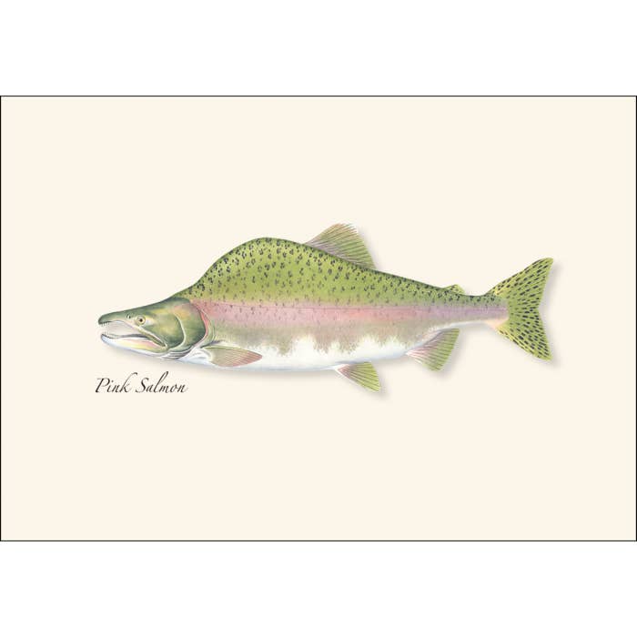 Earth Sky + Water - Wholesale Stationery/Notecard Set - Salmon Assortment2