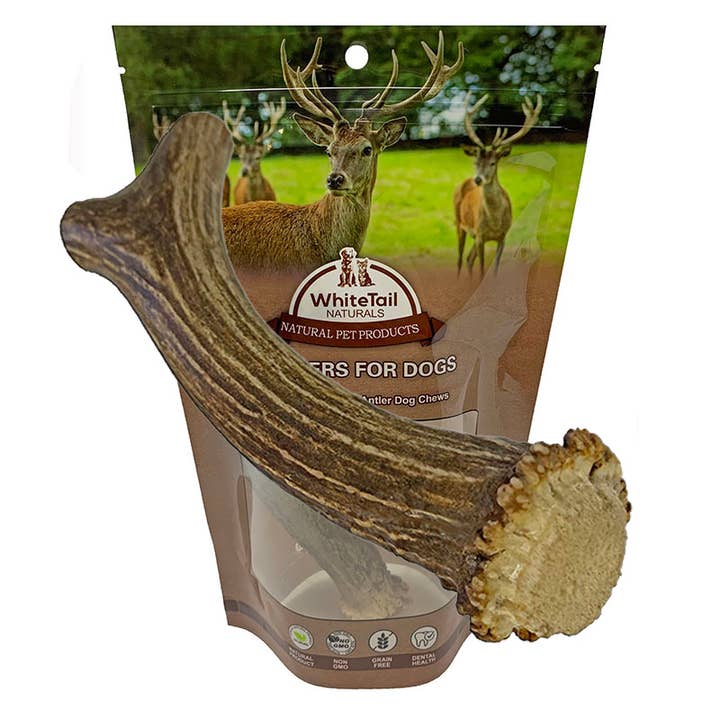 (EXTRA LARGE) Single Whole-Cut Deer Antler Dog Chew - XL for wholesale by WhiteTail Naturals