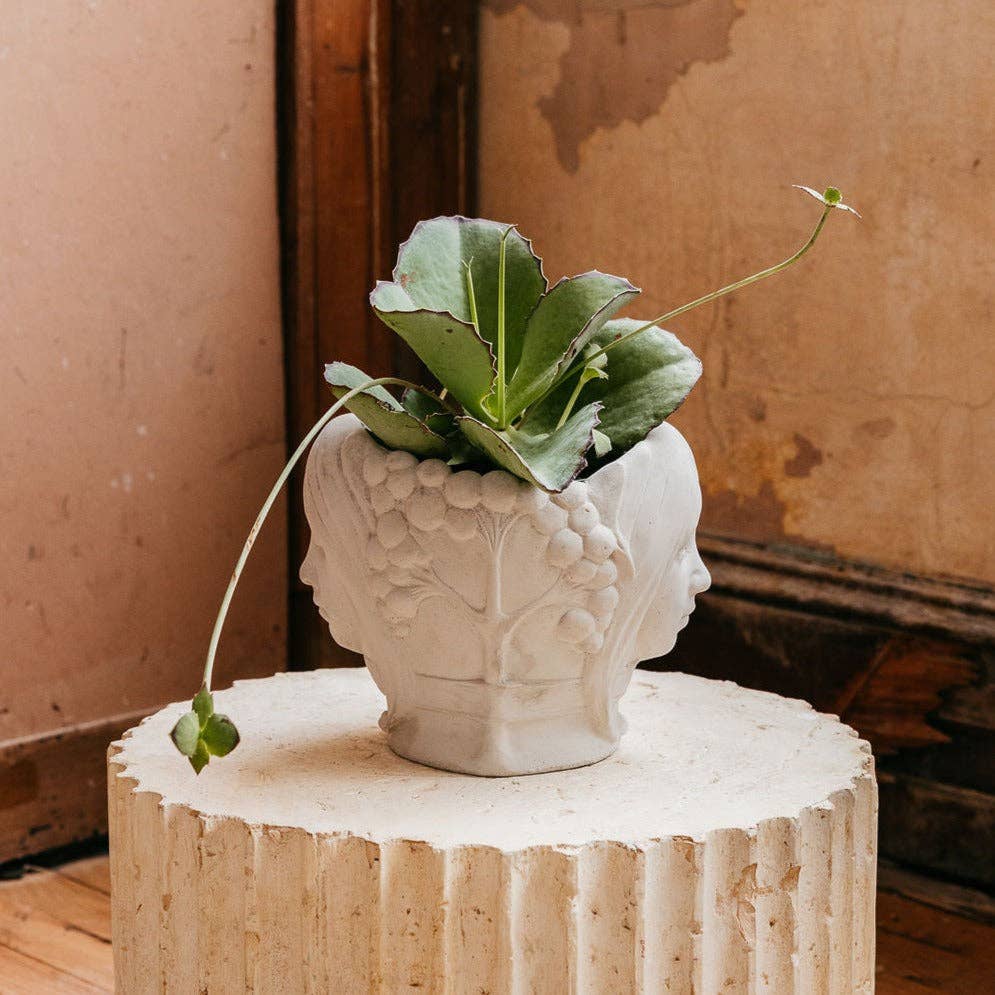 House Parts, Inc. - Wholesale Plant Pot - Astral Twins Planter5