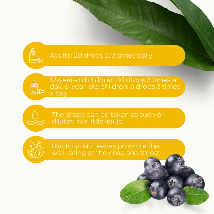 Lemuria – Großhandel Nahrungsergänzungsmittel/Vitamin zum Einnehmen – Total Extract Nahrungsergänzungsmittel gegen Allergien, SCHWARZE JOHANNISBEERE, 30 ml3