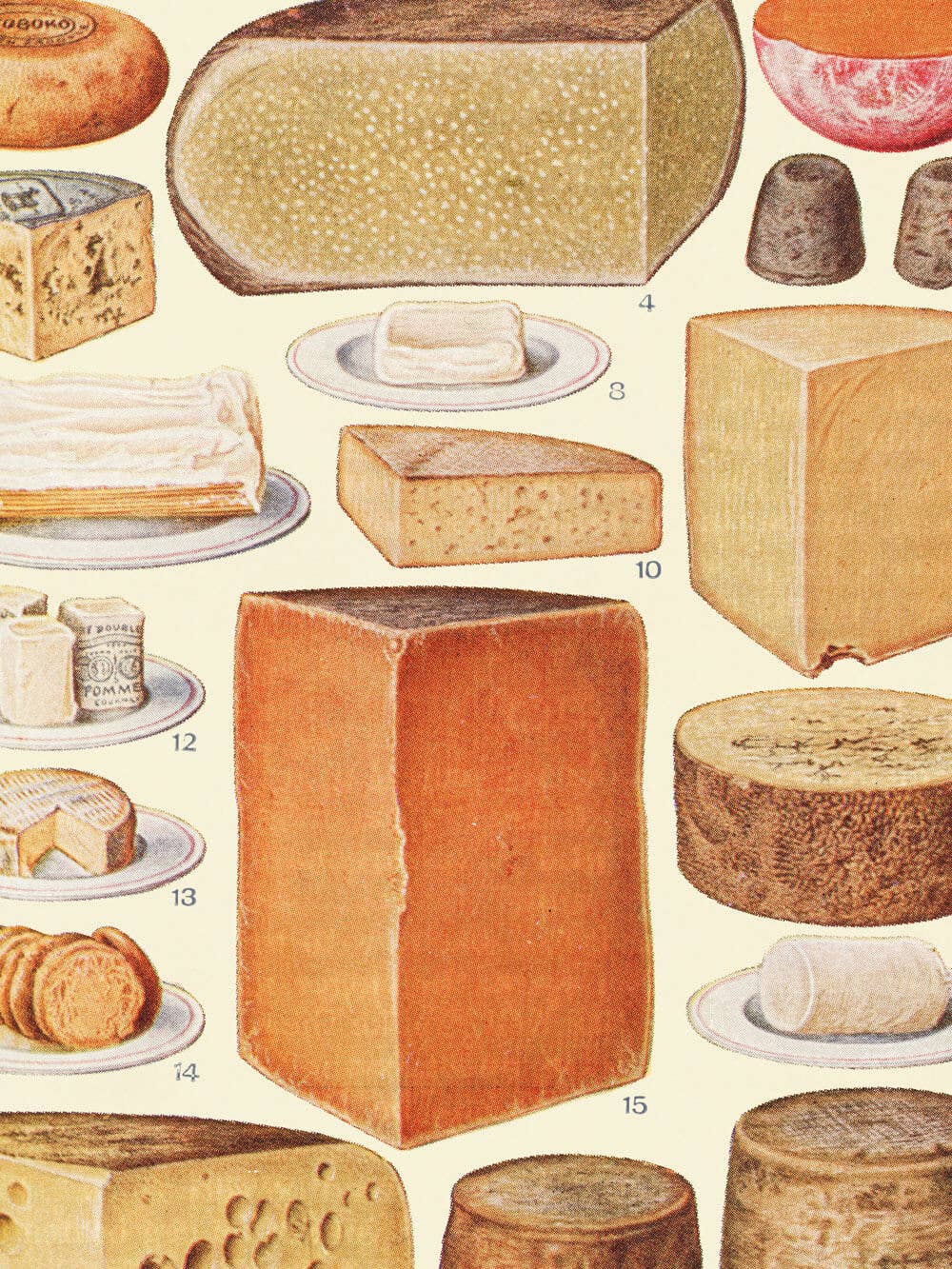 Modern Antique Prints - Wholesale Kunstprint - Vintage illustratie van kaassoorten – kunstafdruk uit Mrs. Beeton's huishoudboek3