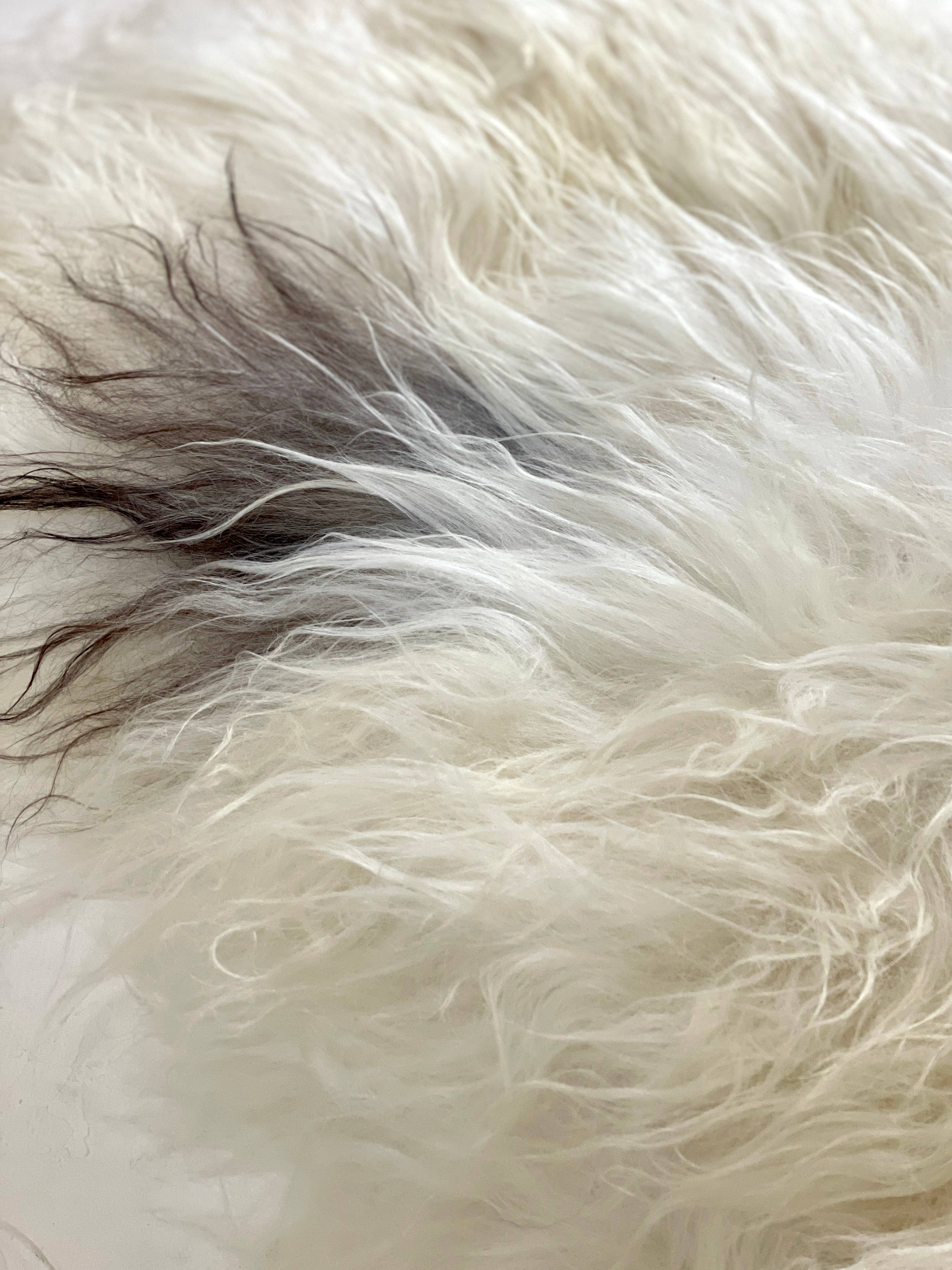 HoogaHooga - Vente Tapis - Peau de mouton islandaise Luna6