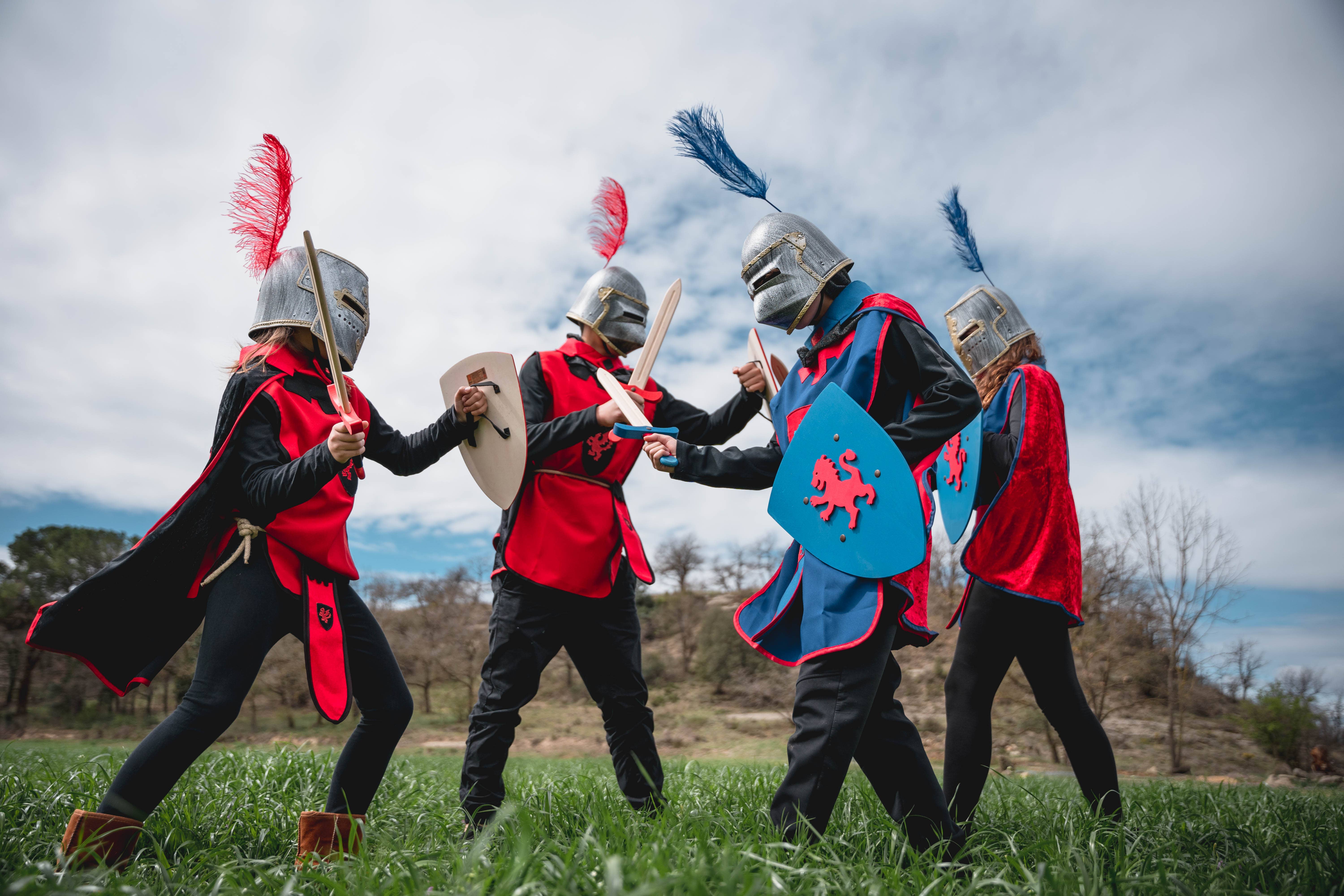 KALID MEDIEVAL - Vente Jouet classique – enfant - BOUCLIER CAMELOT ROSE AVEC LICORNE L - ST6264