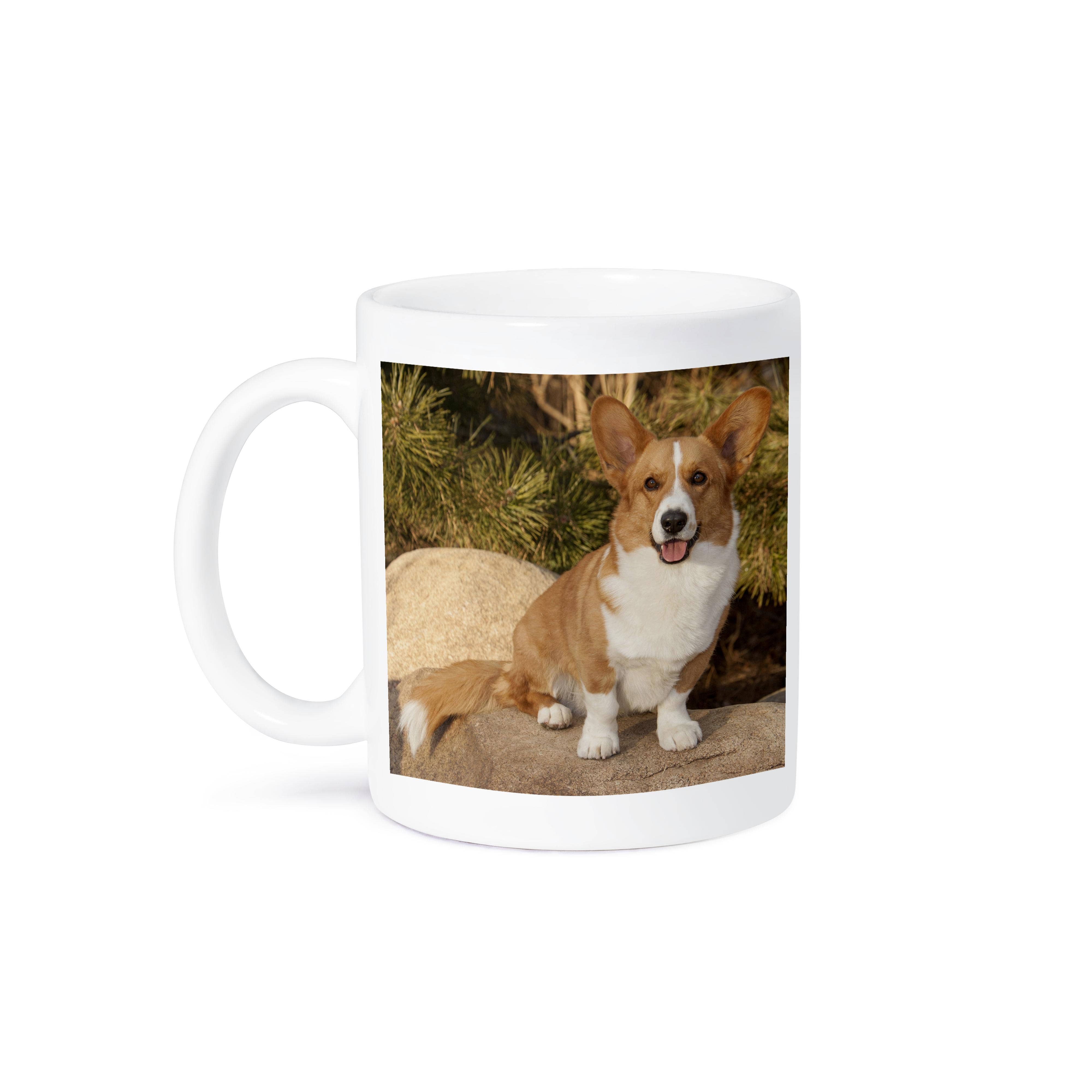 3dRose - Wholesale Coffee Mug - 3dRose, Purebred Cardigan Welsh Corgi Dog on rock - NA02 PWO0023 - PiperAnne Worcester, Mug7