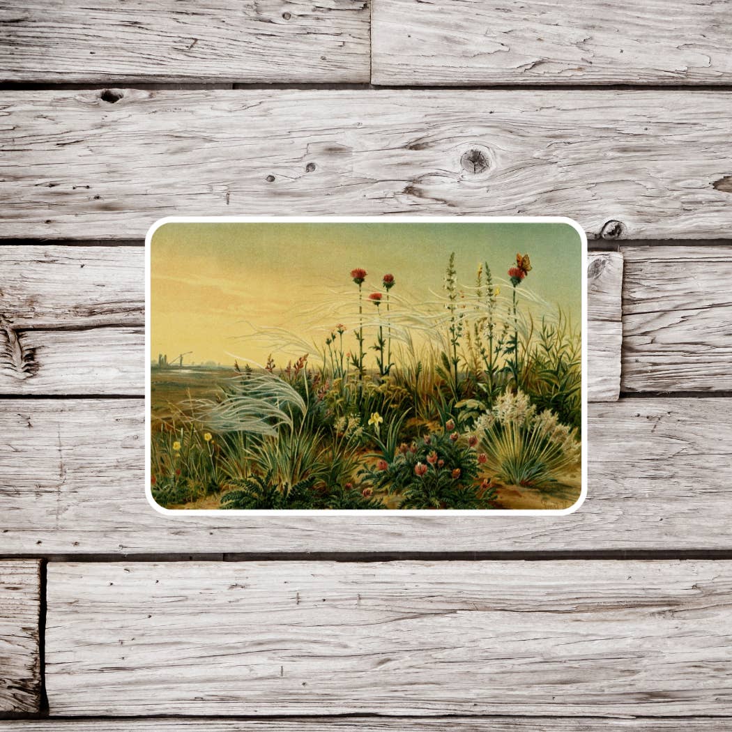 NatureCuts - Wholesale Sticker - Prairie Landscape Sticker, Natural History Sticker