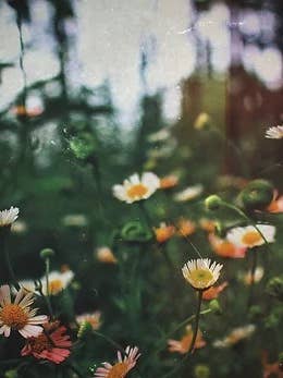 Winds of Calendula Moon Soak for wholesale by Bodhi Bear Apothecary