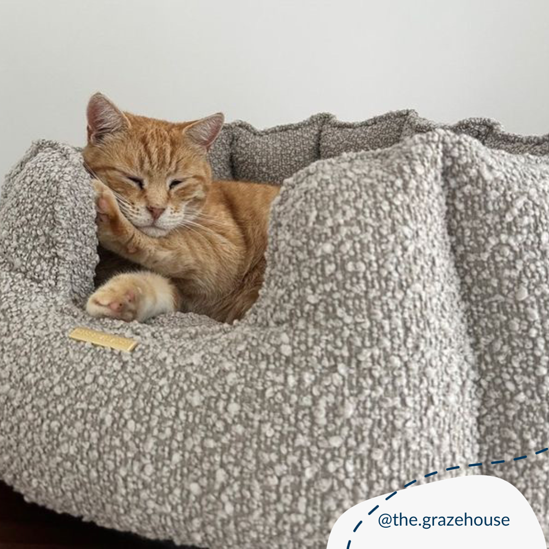 Lords and Labradors – wholesale Pet bed – Cat – High Wall Bed For Cats in Bouclé13