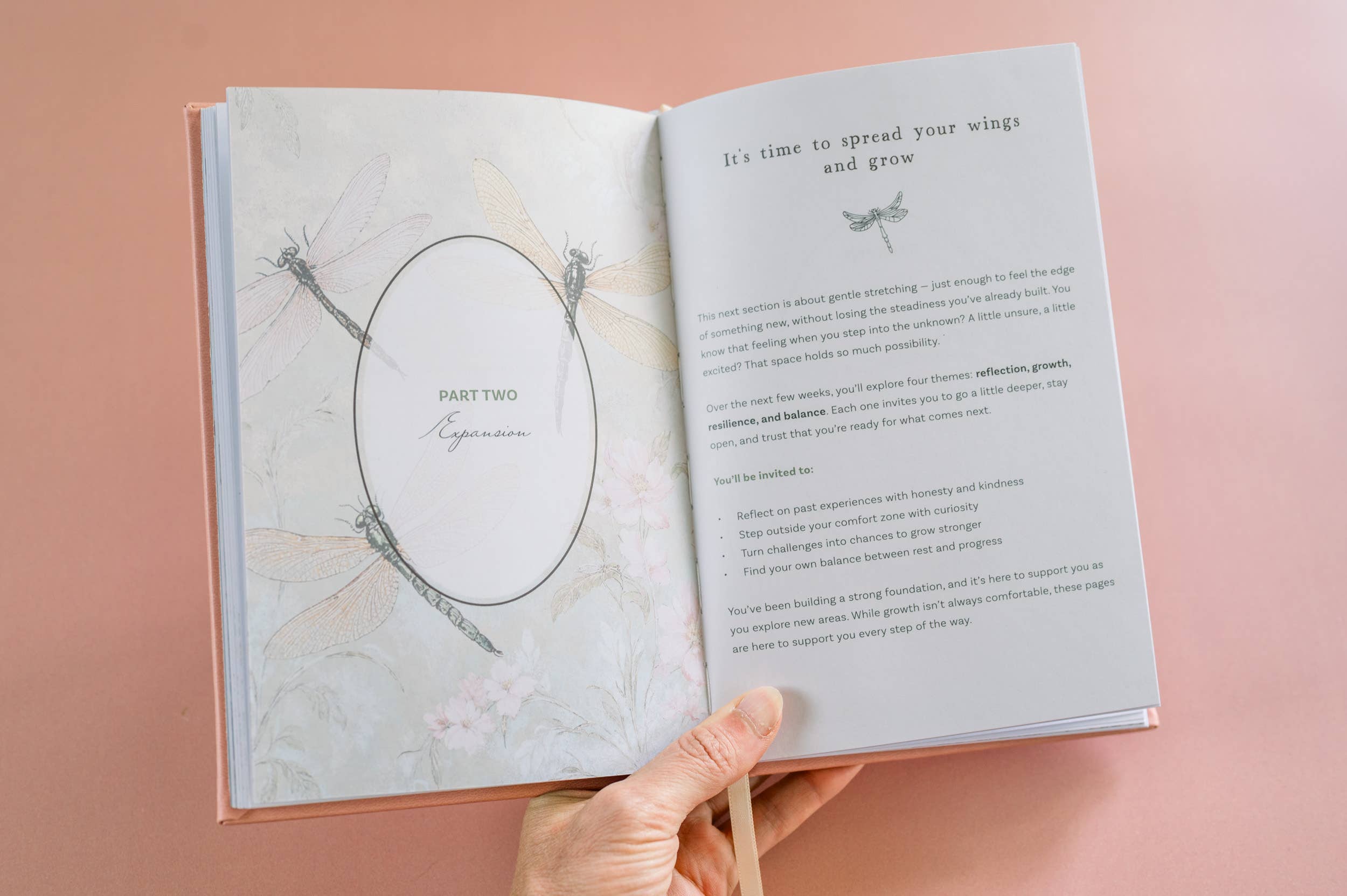 Innerlight Compass – wholesale Journal och dagbok – Daglig guidad dagbok med målarbilder11