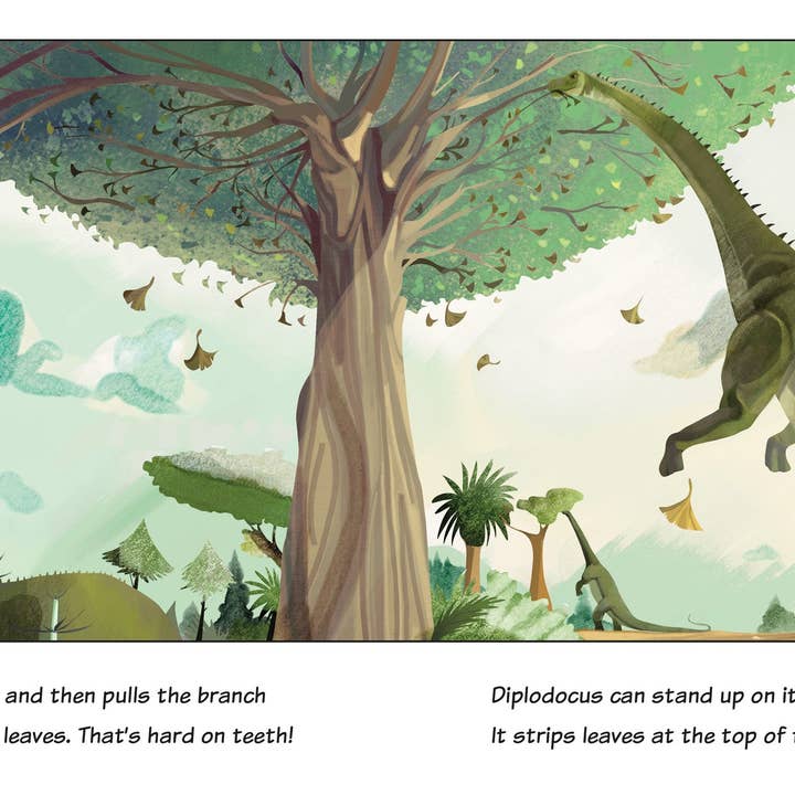 Amicus Publishing – wholesale Early Reader Book (6-8) – Vill du verkligen träffa Diplodocus?2