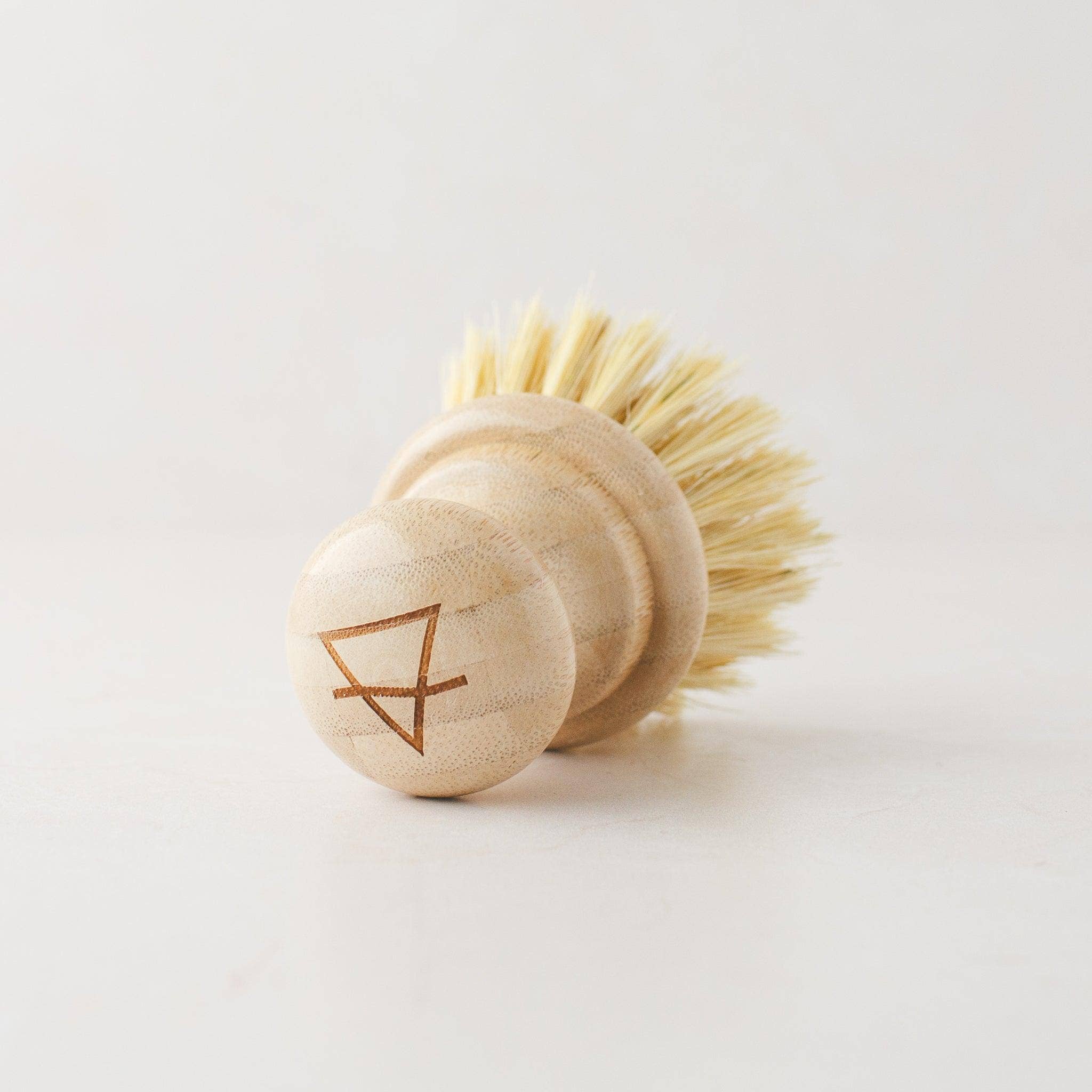 Simple Alchemy Co - Wholesale Cleaning Brush - Compostable Dish Brush1