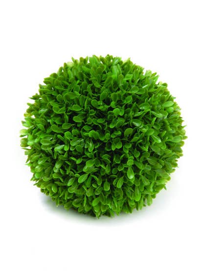 BOLL BUXBOM 19" för wholesale av Studio Specialties