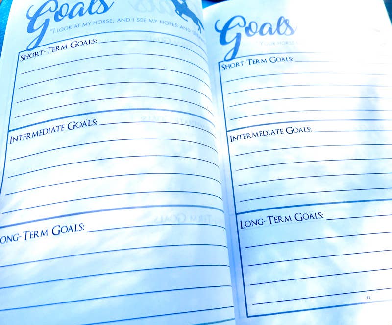 Circus Unicorn Shop - Wholesale Journal/Diary - The Barrel Racer's Journal - Turquoise Cover5