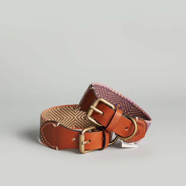 Buddys dogwear - Wholesale Pet Collar - Dog - /NEW/ Dog Collar Capri Bella