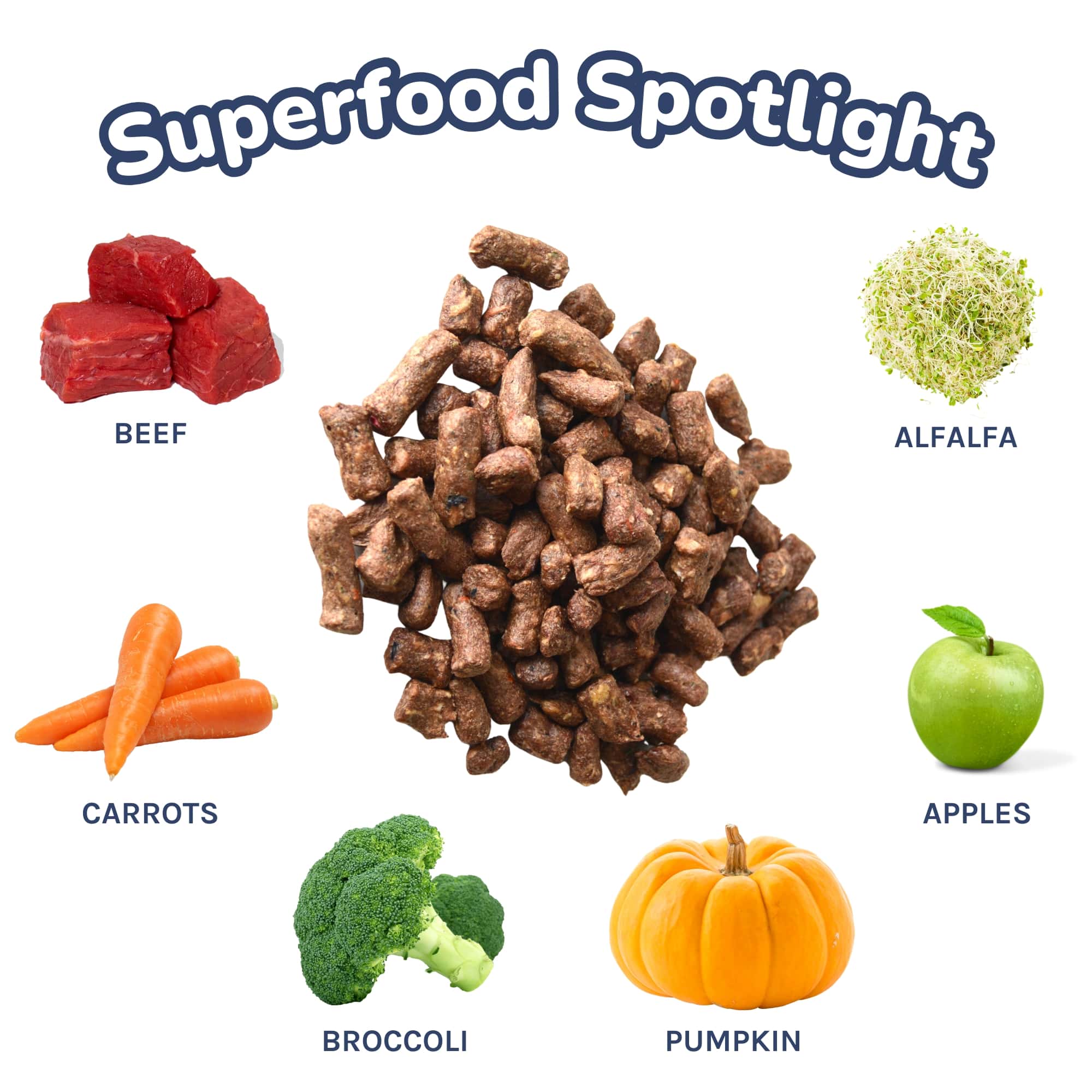 Healthybud - Wholesale Pet Food - Dog - Healthybud's Freeze-Dried Beef Meal Bites for Dogs2