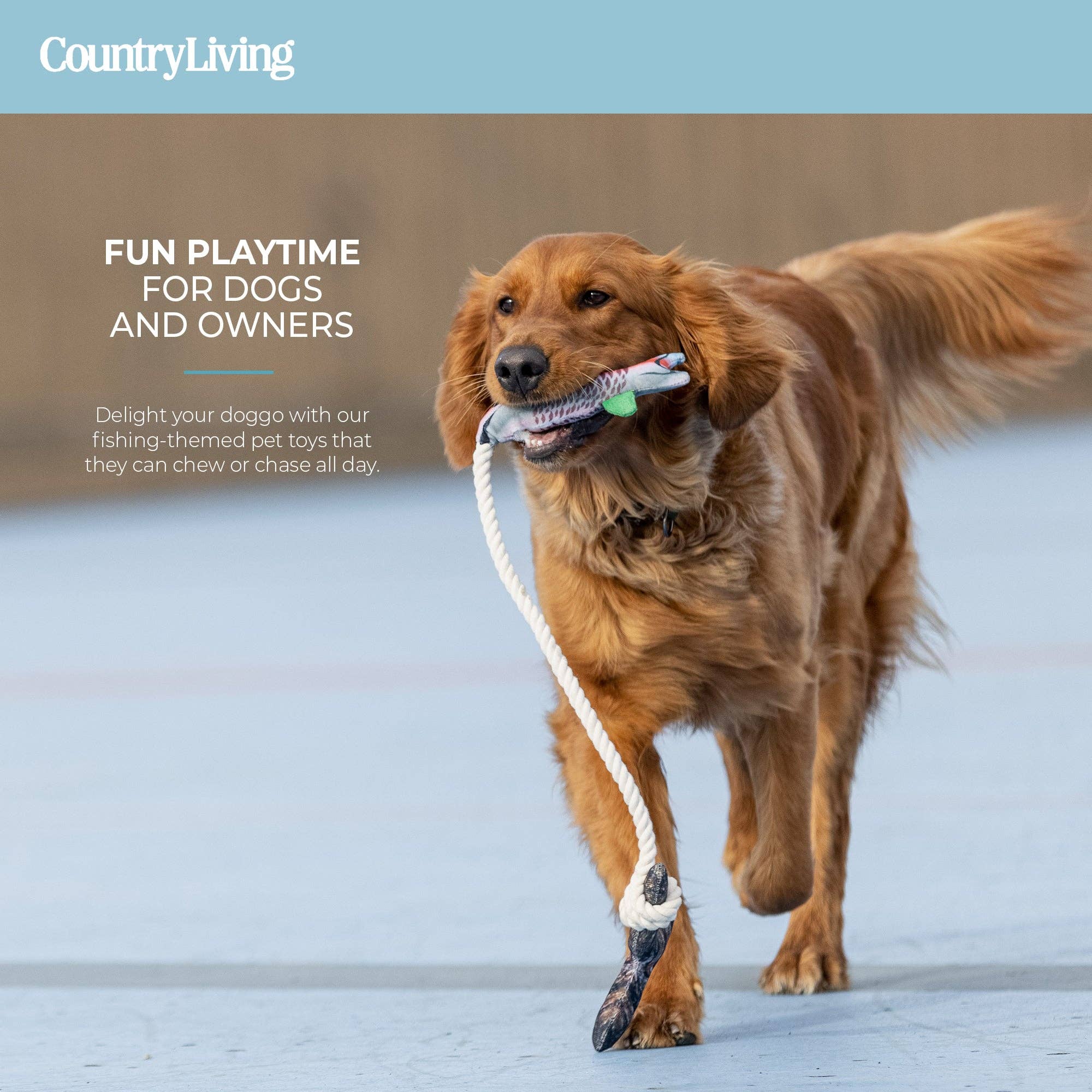 Silver Paw - Vente Set de jouets – chien - Lot de 2 jouets pour chiens Fish & Mason Jar5