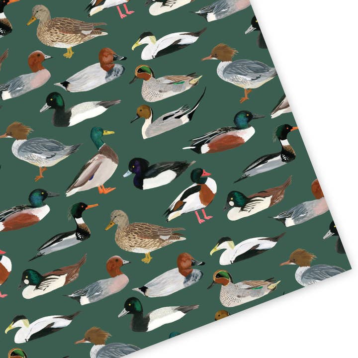 Britse Eenden Inpakpapier voor wholesale door Sarah Frances
