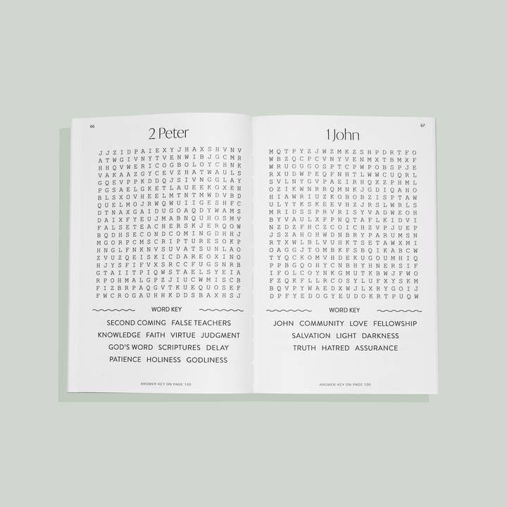 Paige Tate & Co. – wholesale Bok - Vuxen – Bibelordsökning för vuxna (kristna gåvor)