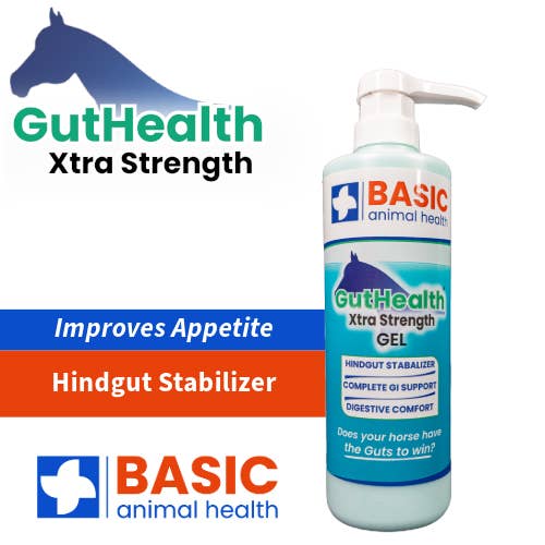 GutHealth Xtra Strength Gel for Horses - Bottles for wholesale by Basic Animal Health