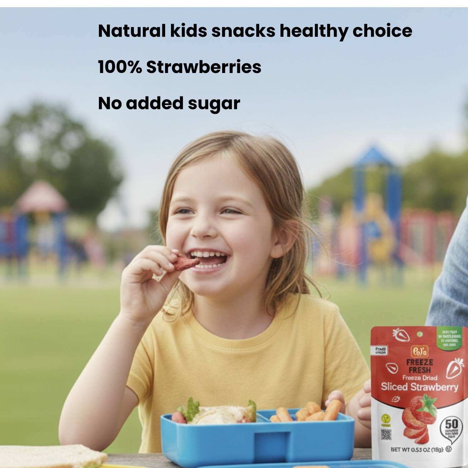 FOOD NOTES - Wholesale Dried/Dehydrated Fruit - Pol's Freeze Dried Strawberries-100% Fruit-GF-Kosher-Vegan3