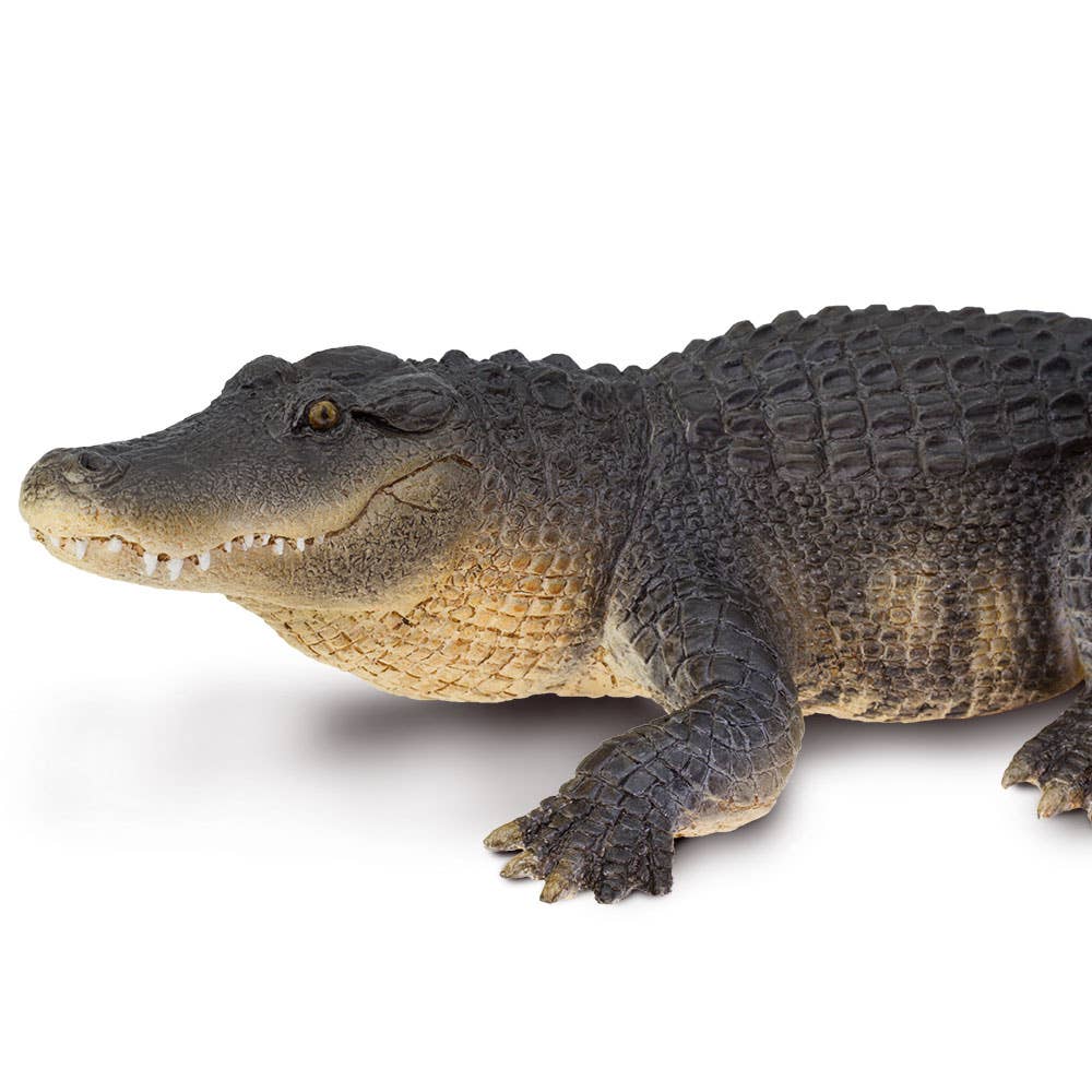 Safari Ltd. - Wholesale Figurine Toy - Kids - Wildlife Alligator Figurine Toy for Kids4