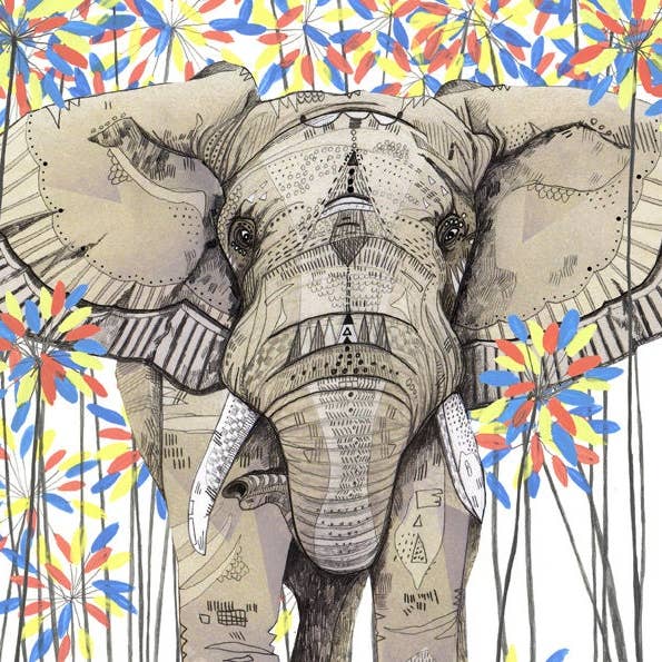 Elephant // Signed Print for wholesale by Sandra Dieckmann