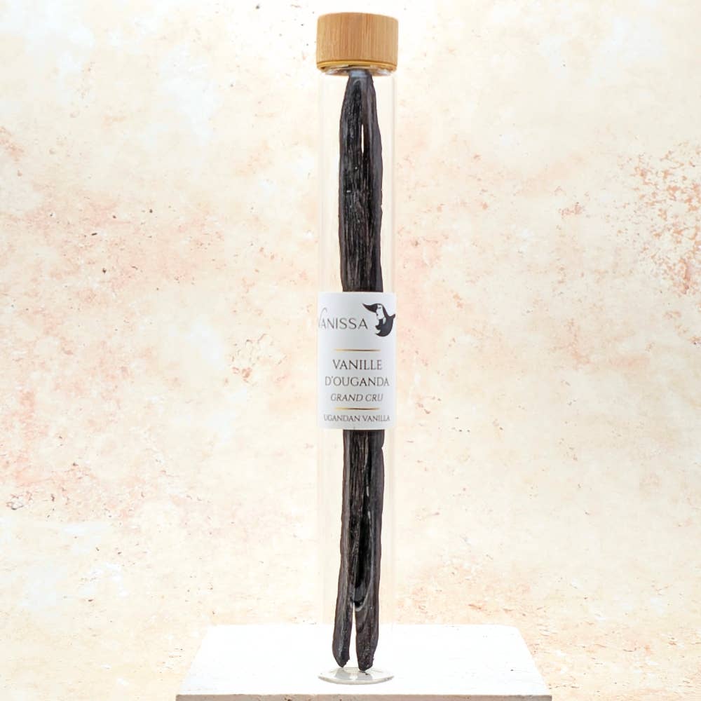 Vanissa – wholesale Vanilla/fruit extract – Planifolia Vanilla Beans - Uganda0