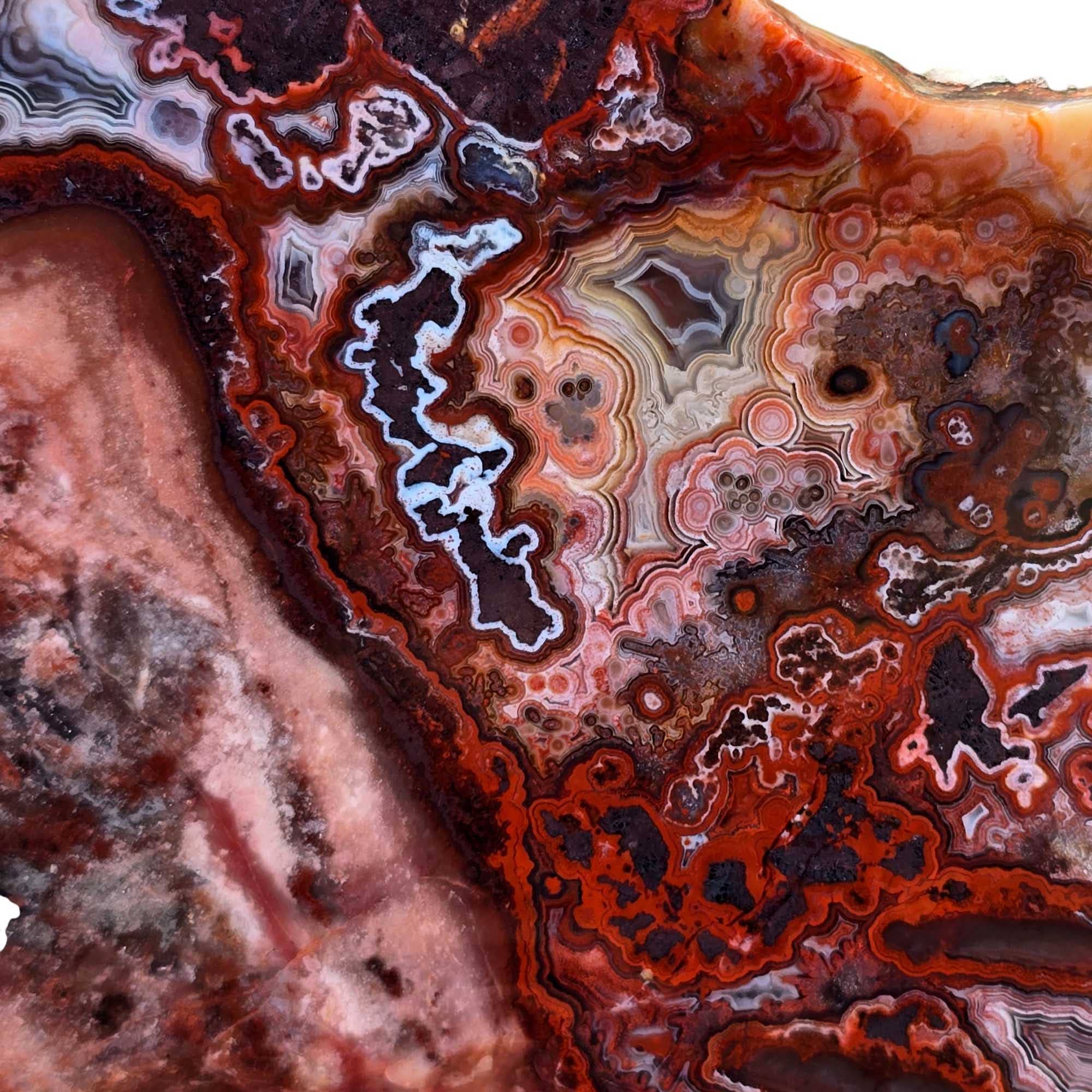 Lapidary Central - Wholesale Spiritual Stone/Crystal - Laguna Lace Agate Slab - Bright Red Salmon Pink - Hematite Accents2