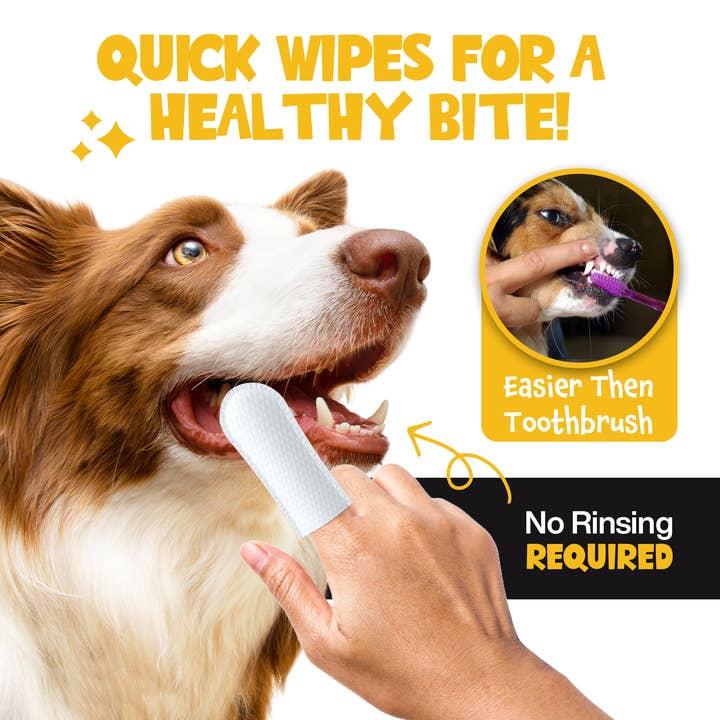 Roofus - Wholesale Pet Toothpaste - Dog - Roofus Dental Wipes | Peanut Butter | 60ct1