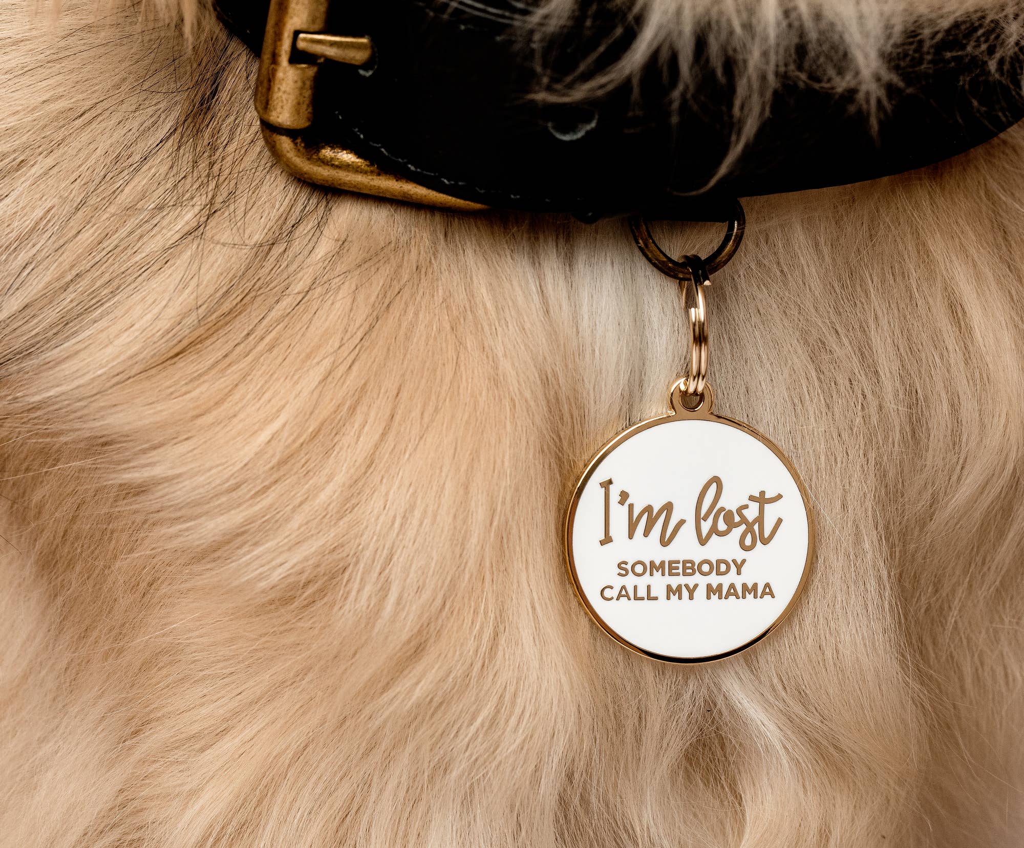 Two Tails Pet Company - Wholesale Pet Identification Tag - Dog - I'm Lost, Somebody Call My Mama Pet ID Tag2