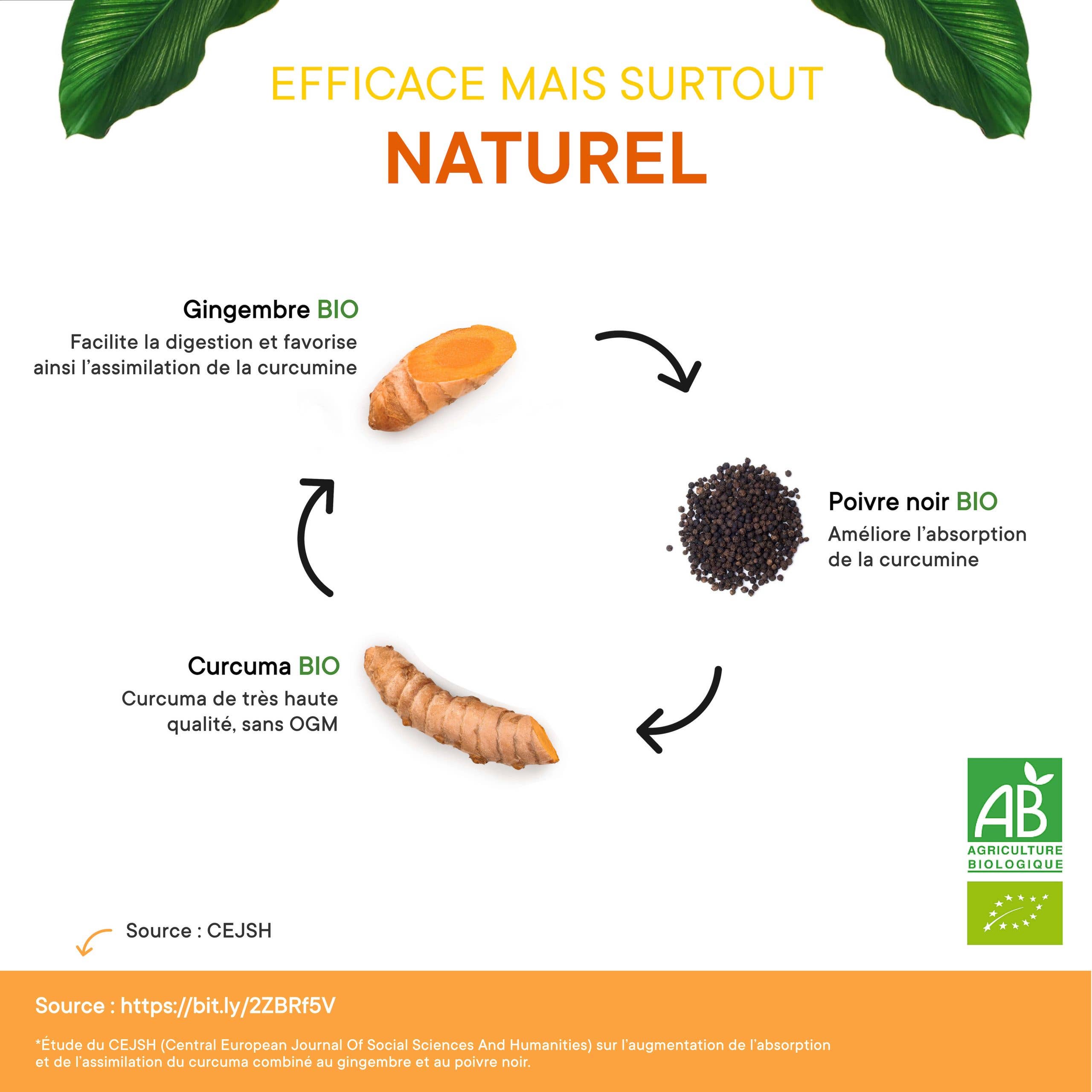 Vegalia - Vente Supplément oral/vitamine - Curcuma bio gingembre & poivre noir 200 gélules3