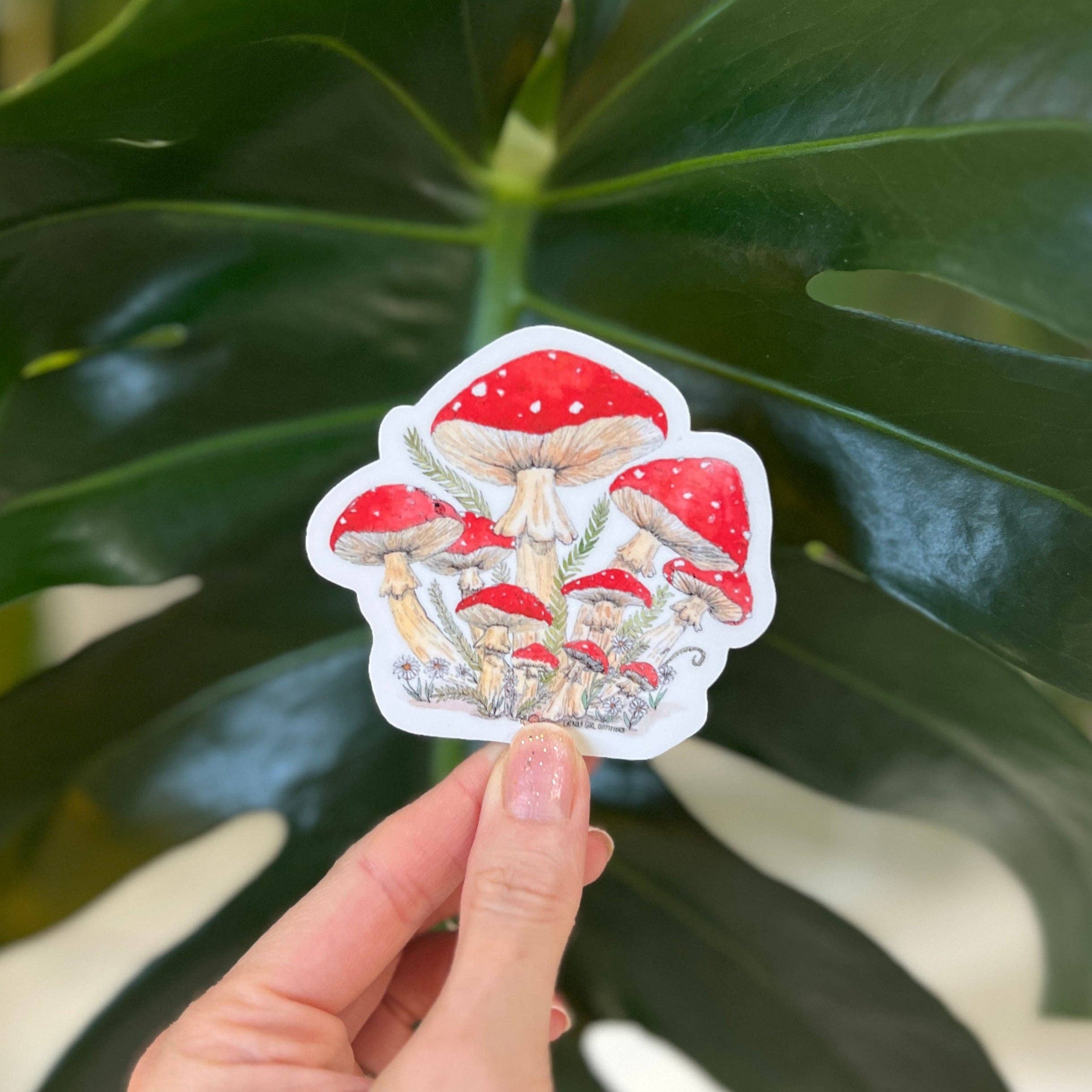 Granola Girl Outfitters - Wholesale Sticker - Red Cap Mushroom Sticker - Light-weight / Indoor: 🌿📖1