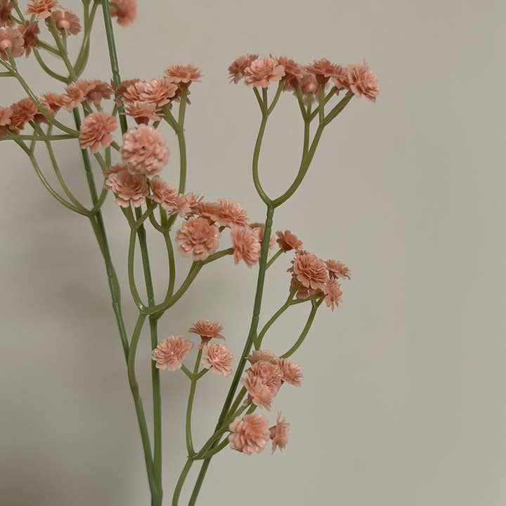 JKF & Co Pty Ltd - Wholesale Artificial Flowers - Real Touch Baby Breath Gypsophila Blush