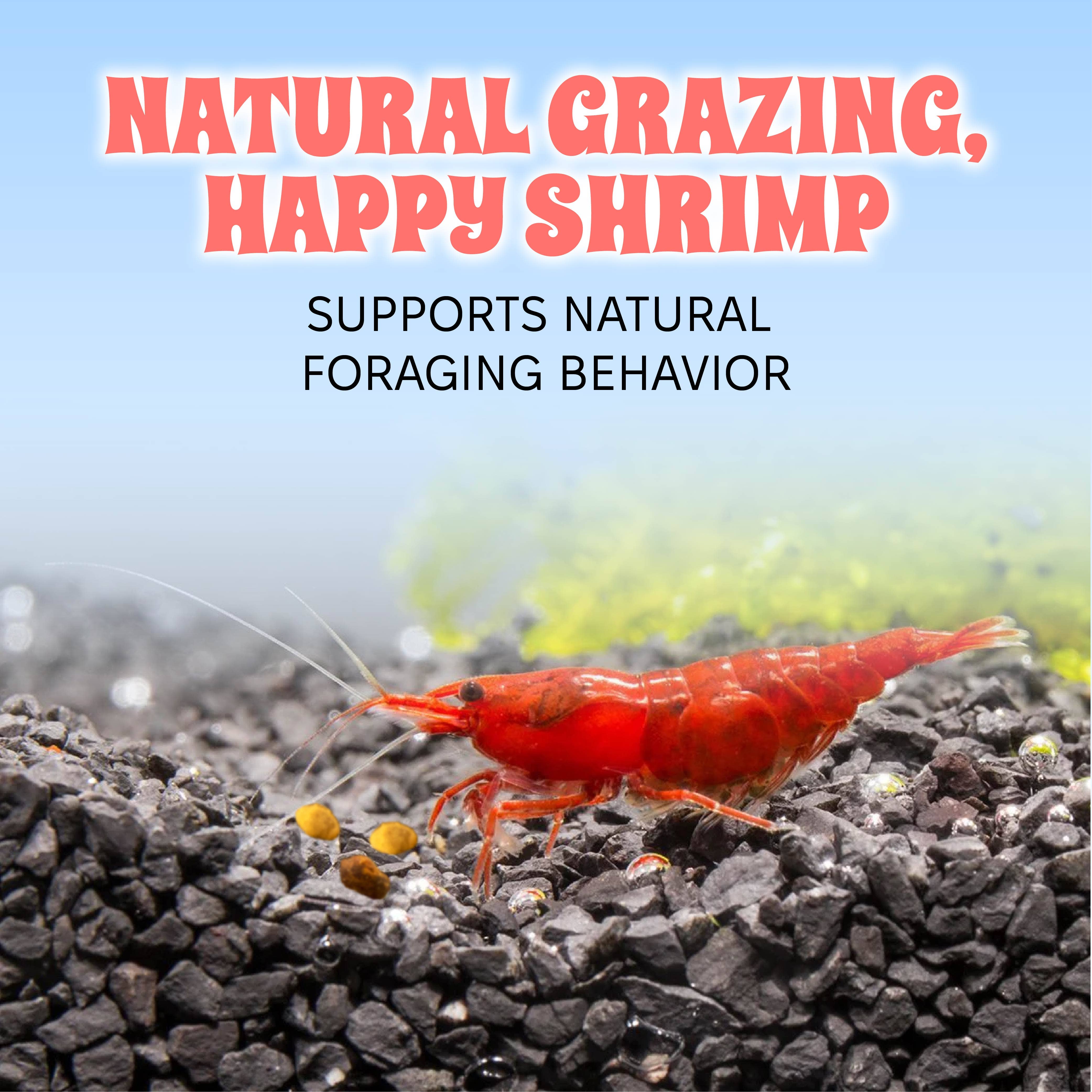 Snout and Shell - Wholesale Pet Food - Not Cat/Dog - Bee Pollen Nuggets for Shrimp Tanks3